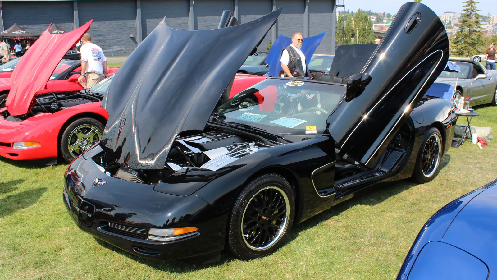 Corvette Generations/C5/C5 Black Wing (2).webp